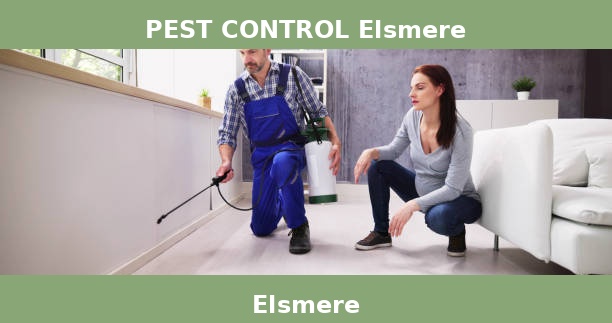 PEST CONTROL Elsmere